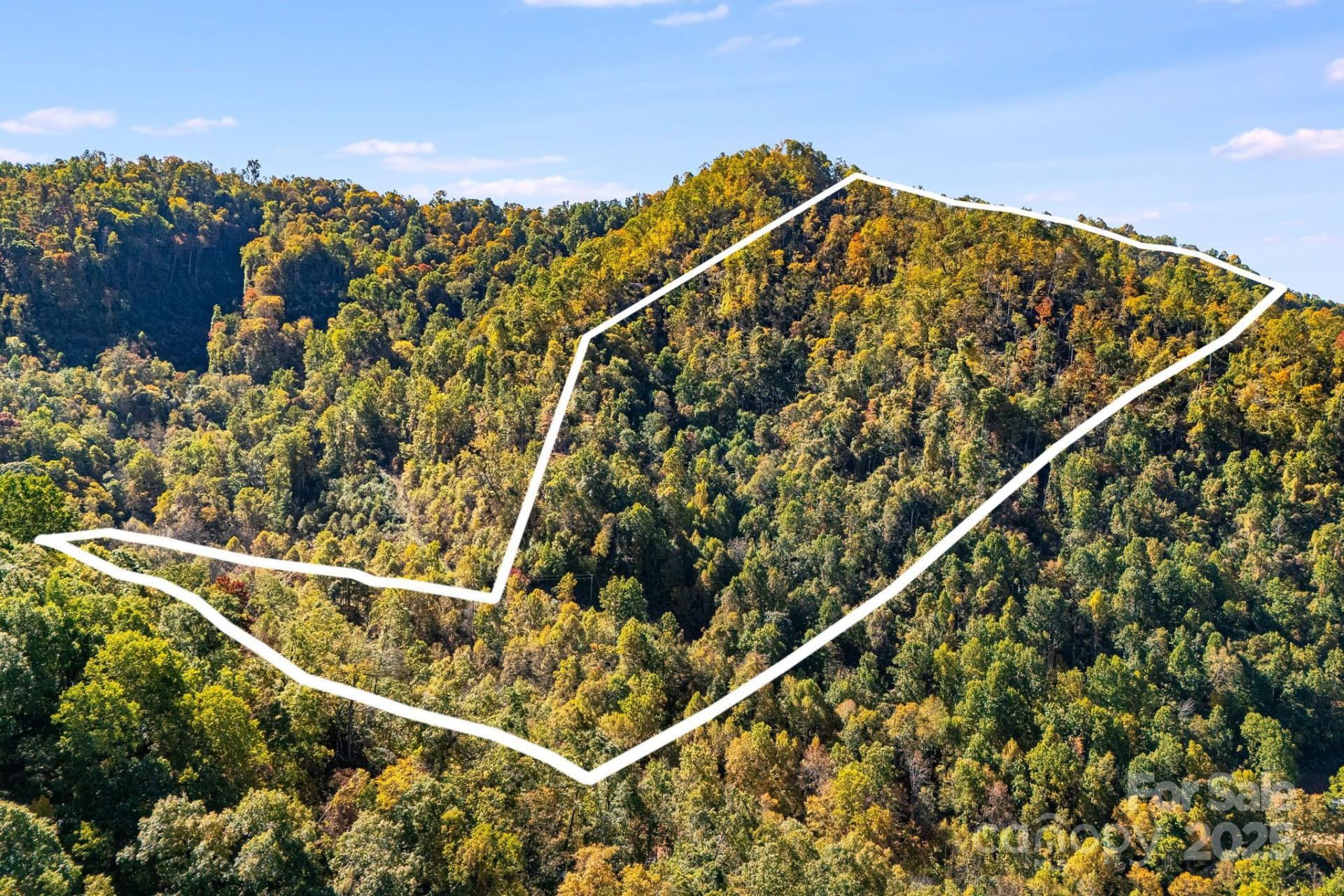 000 Hamburg Road #17 - Photo 2