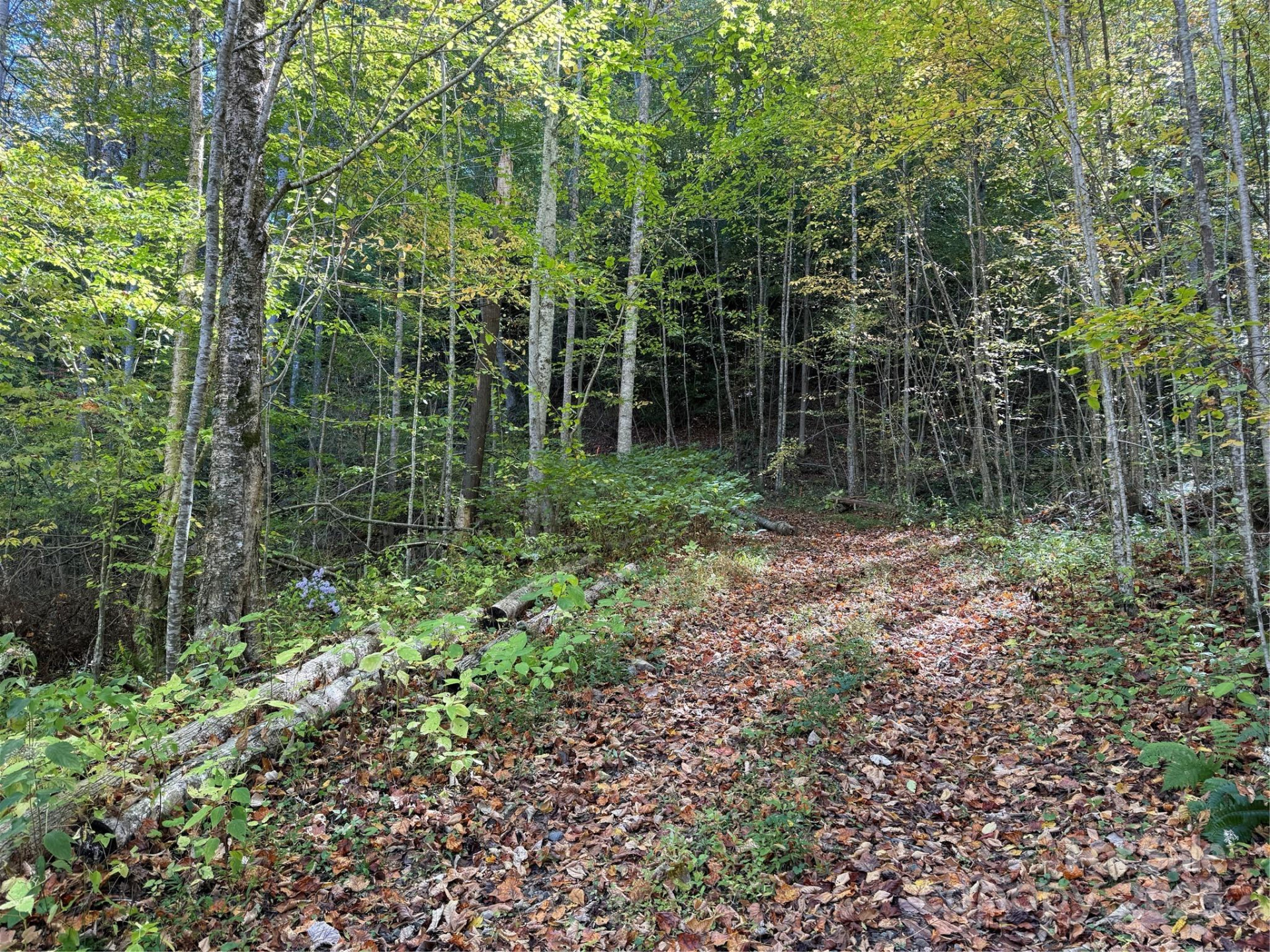 000 Hamburg Road #17 - Photo 12