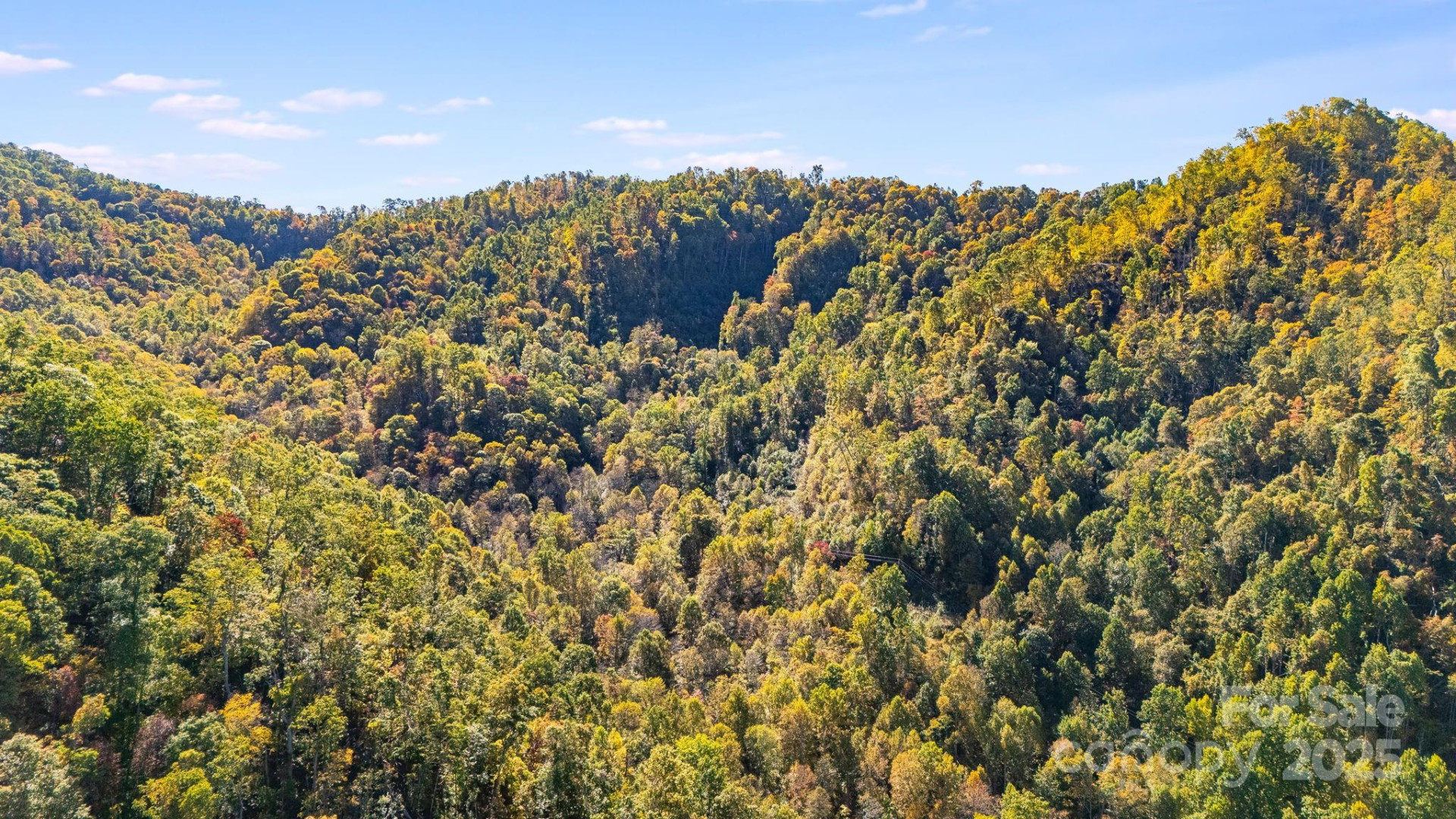 000 Hamburg Road #17 - Photo 13