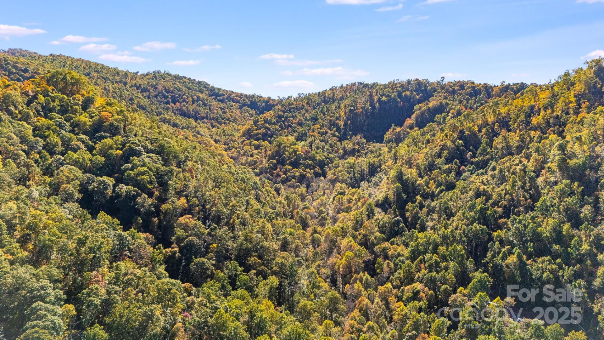 000 Hamburg Road #17 - Photo 14