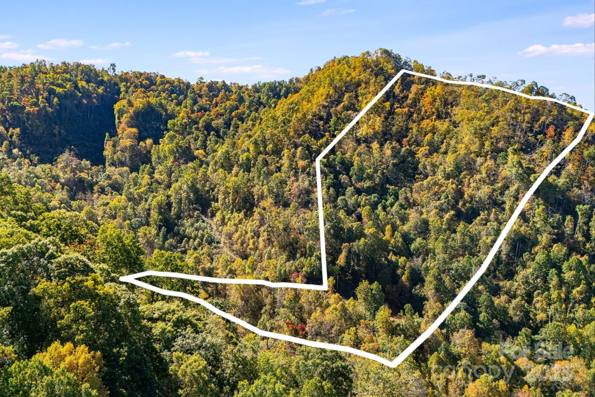 000 Hamburg Road #17 - Photo 3