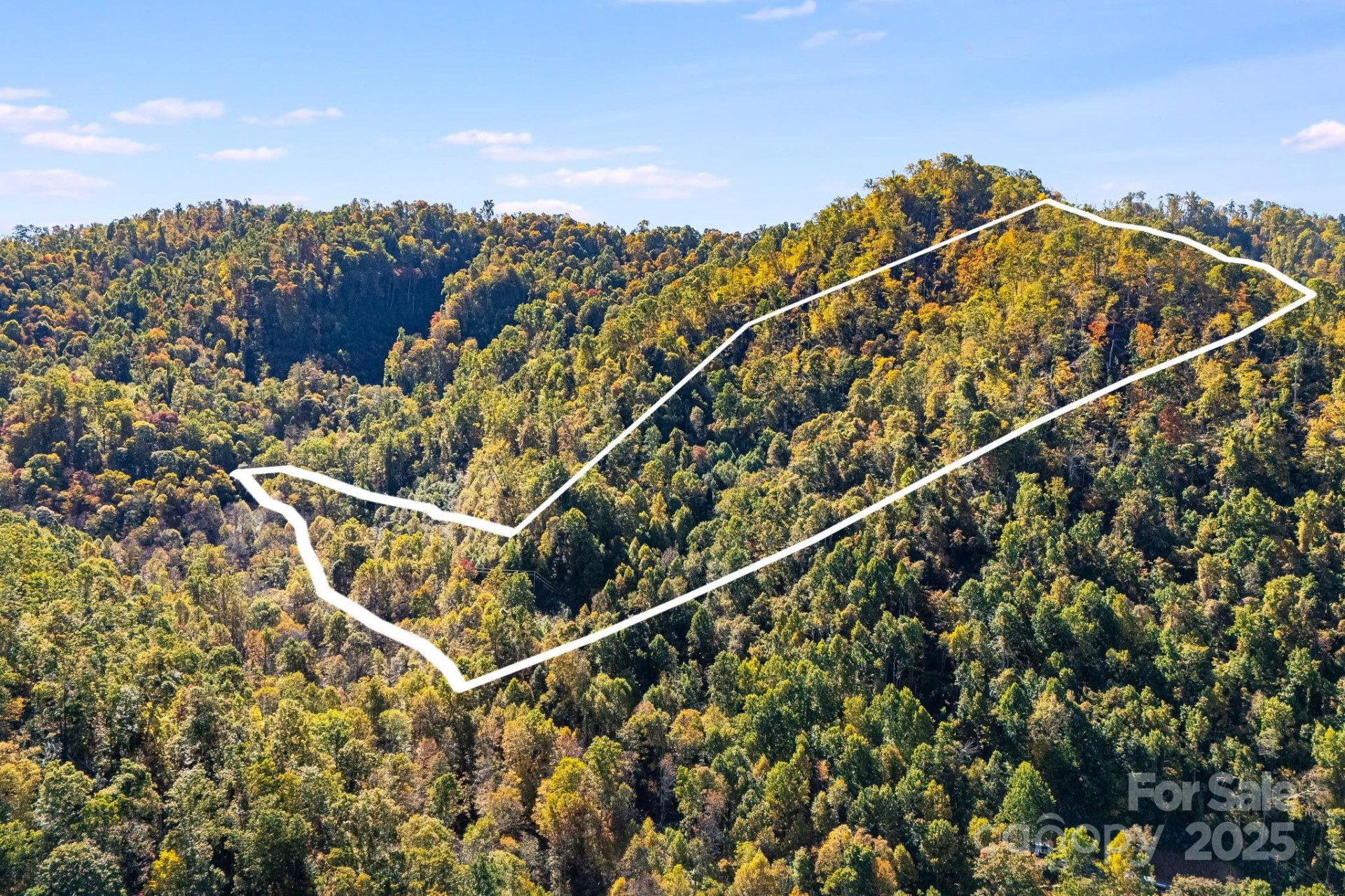 000 Hamburg Road #17 - Photo 4