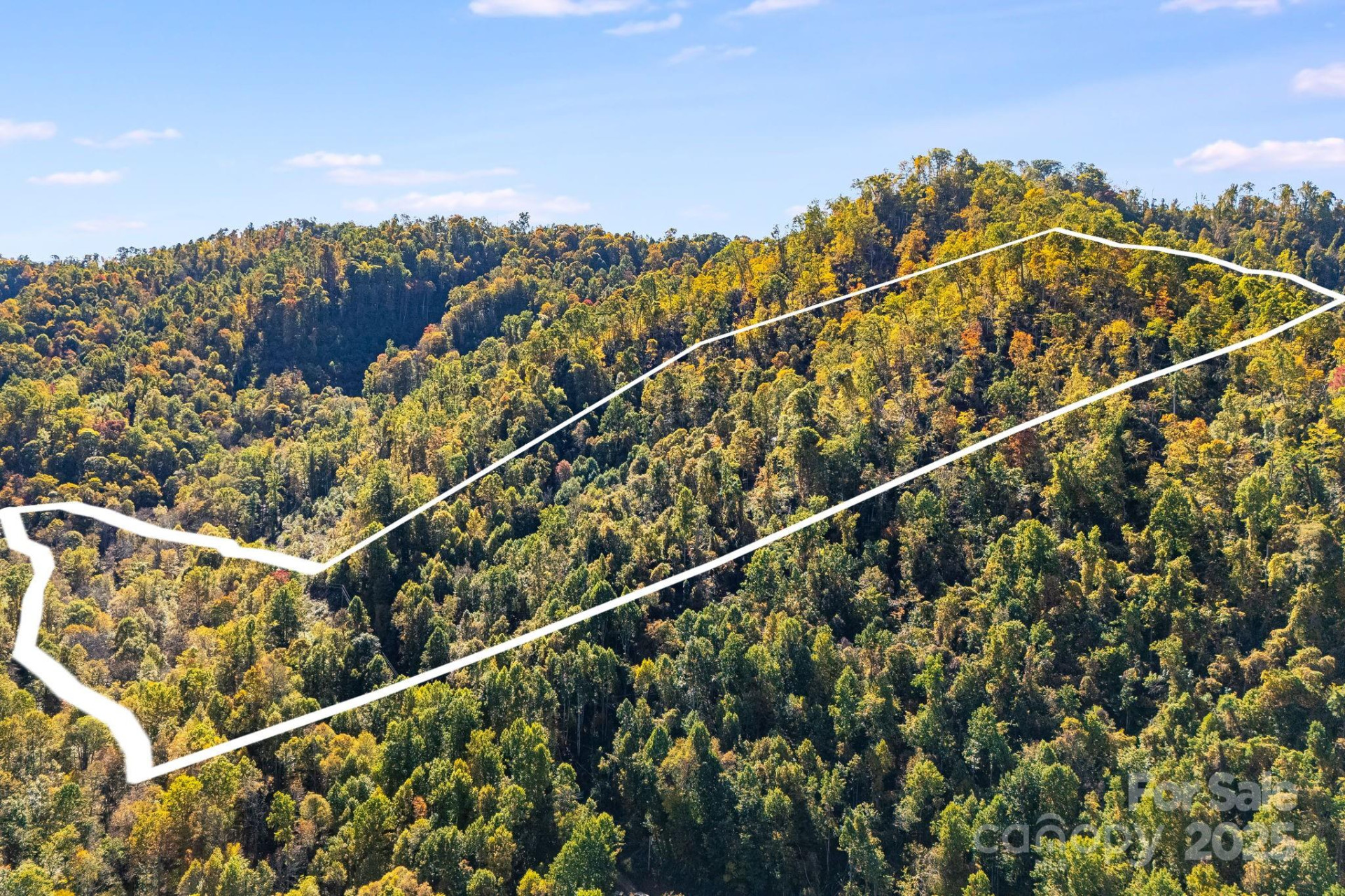 000 Hamburg Road #17 - Photo 5