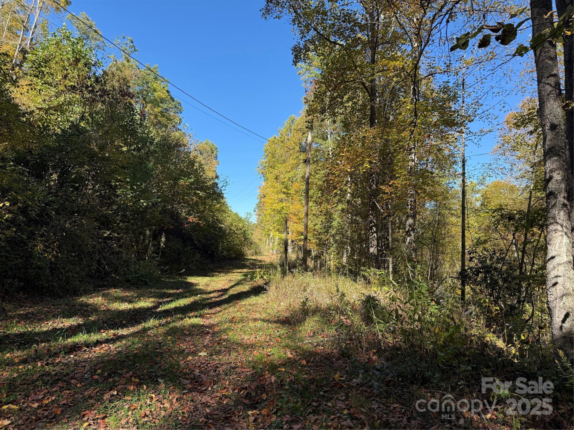 000 Hamburg Road #17 - Photo 6