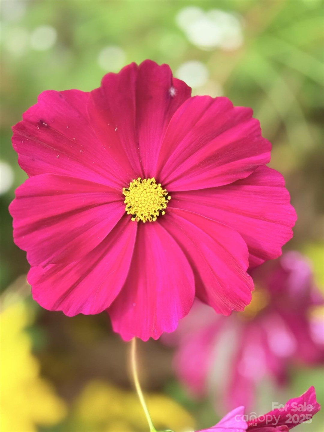 43 Dillingham Estates Trail - Photo 23