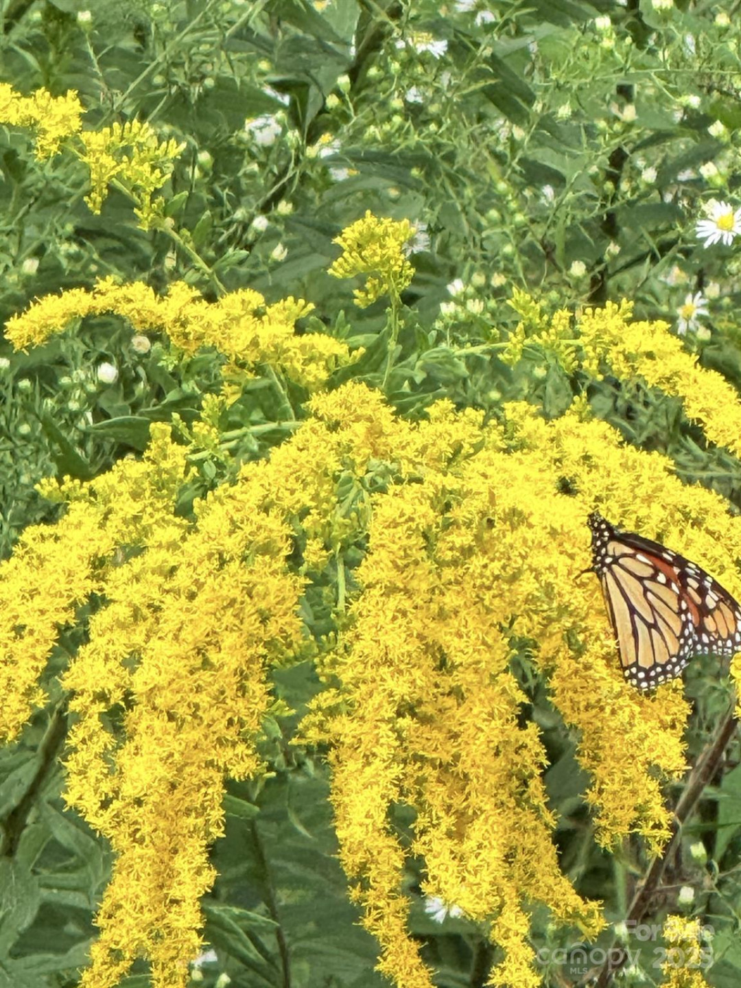 43 Dillingham Estates Trail - Photo 24