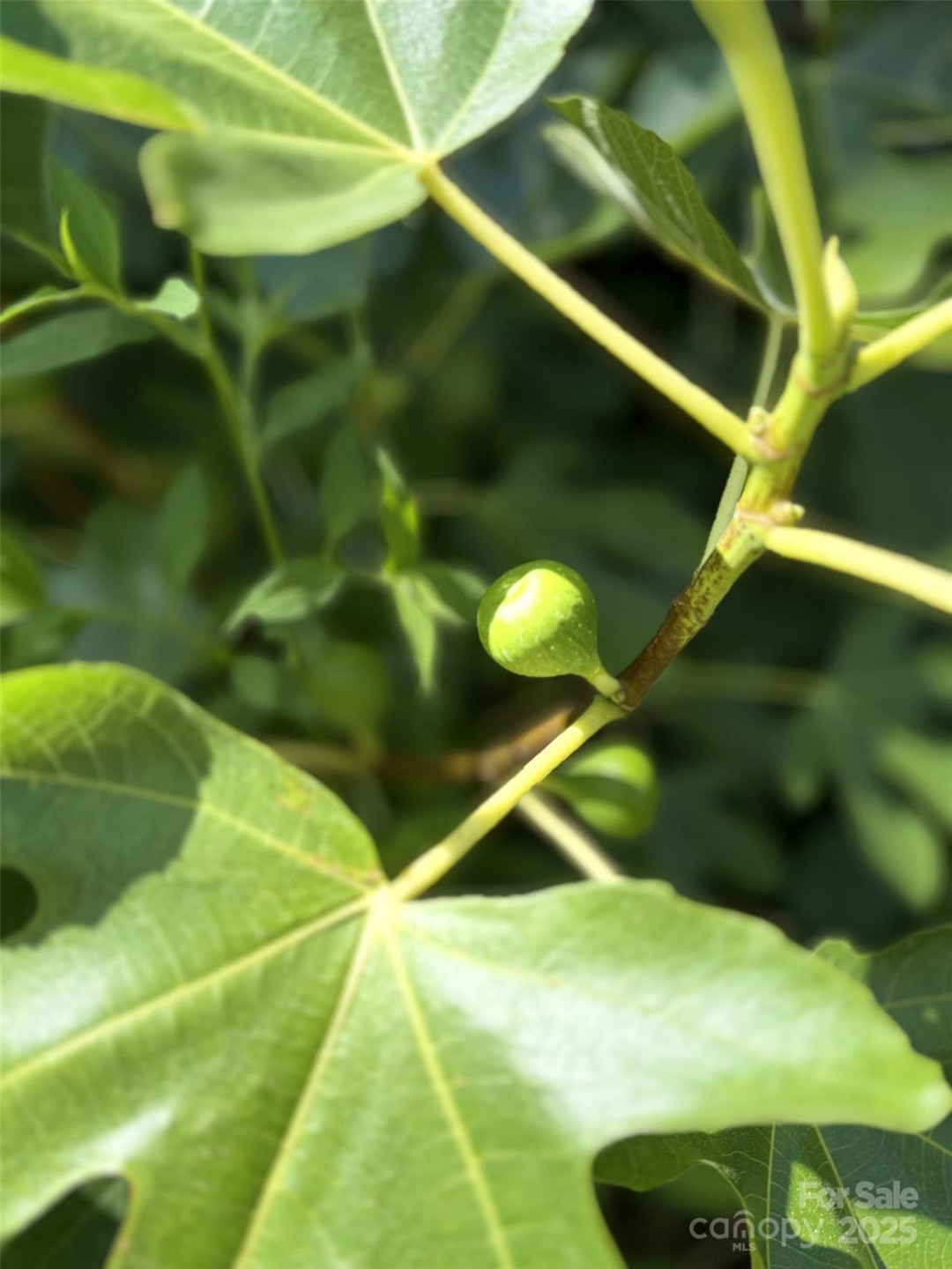 43 Dillingham Estates Trail - Photo 27