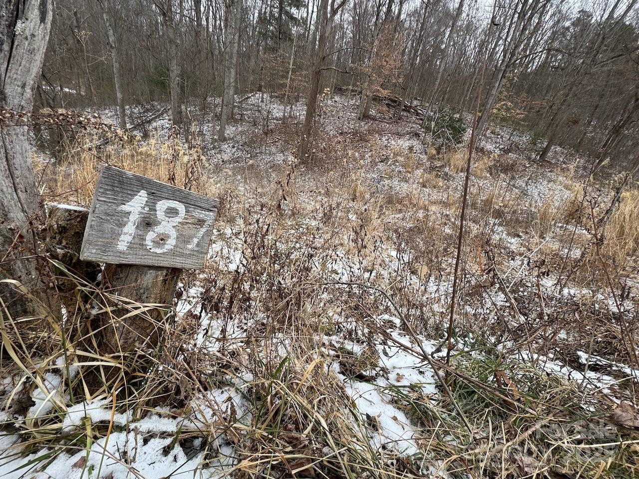 TBD Glen Valley Way #187,200 - Photo 19