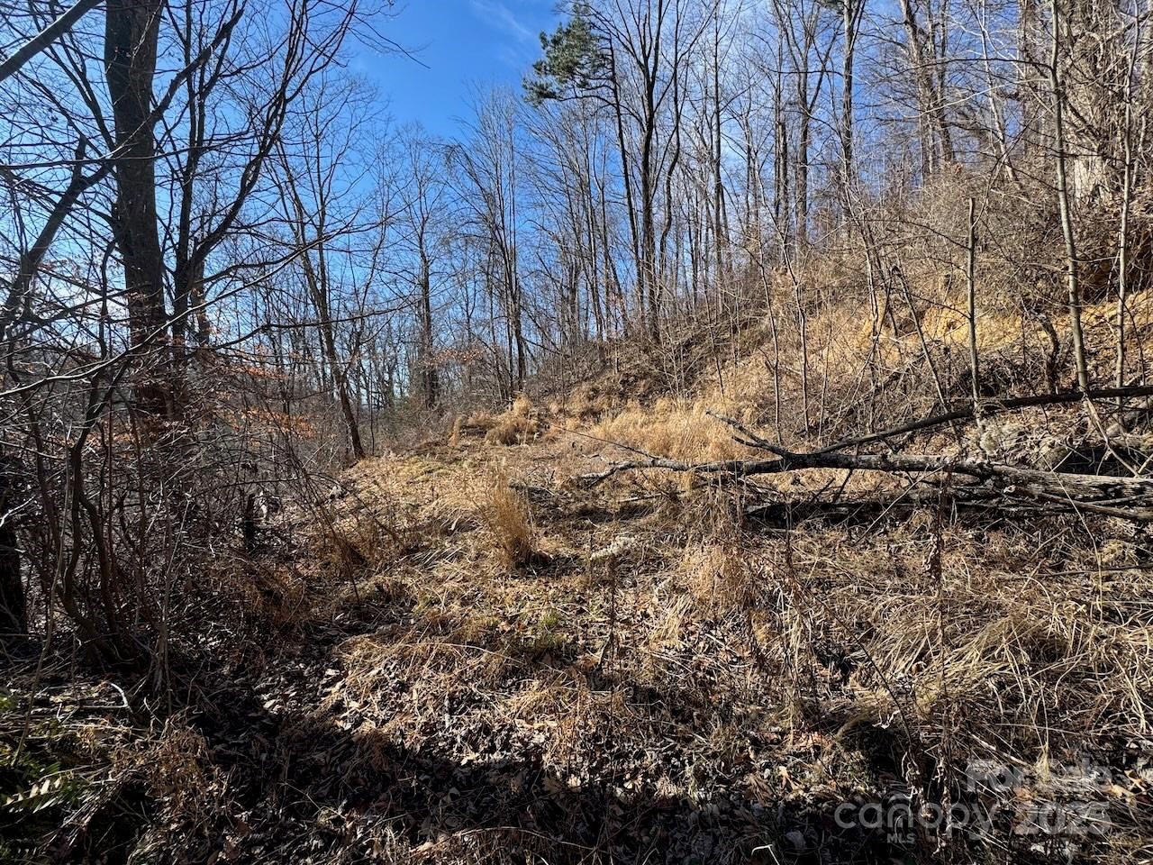 TBD Glen Valley Way #187,200 - Photo 6