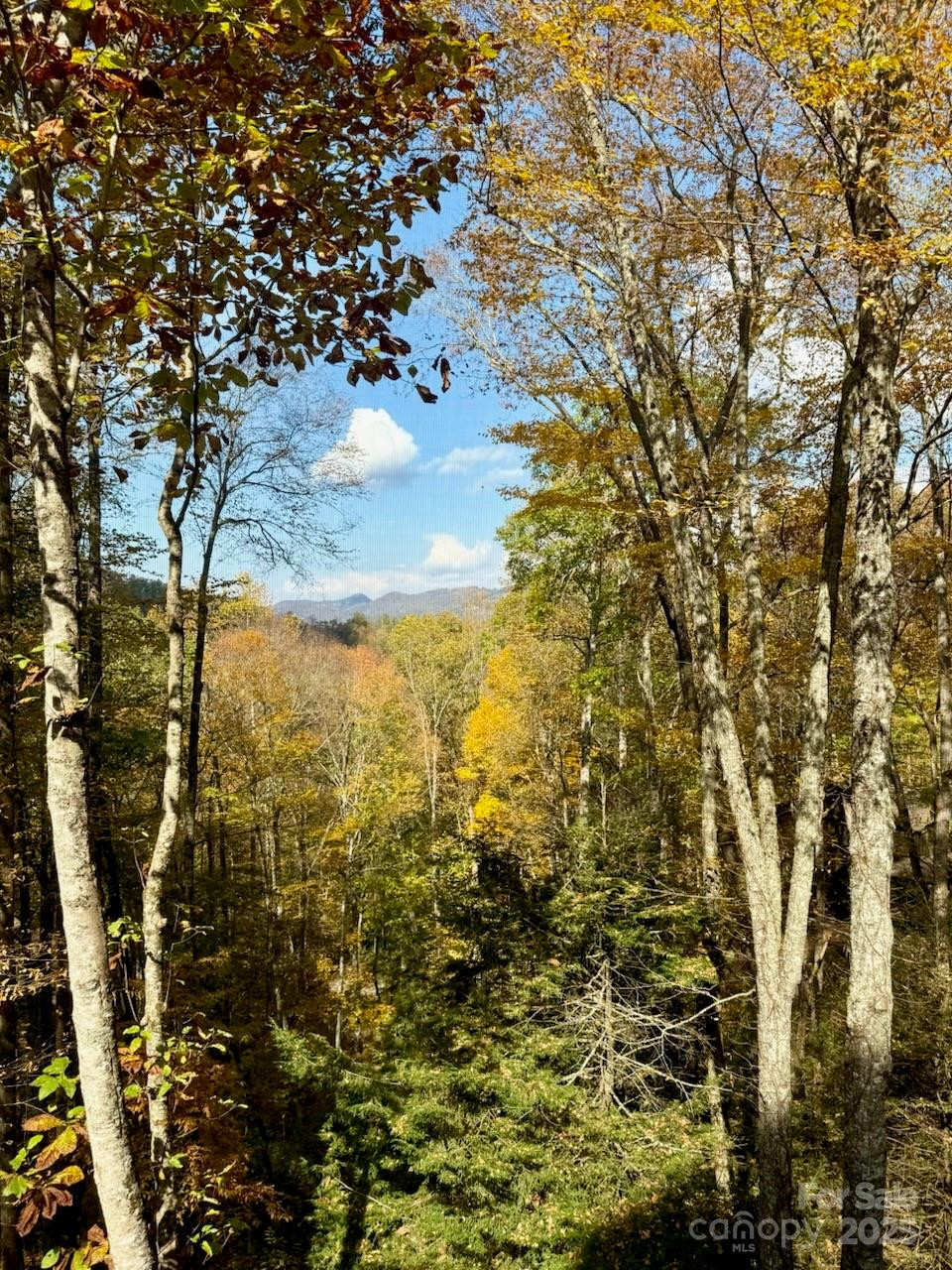 126 Mossycup Court - Photo 25