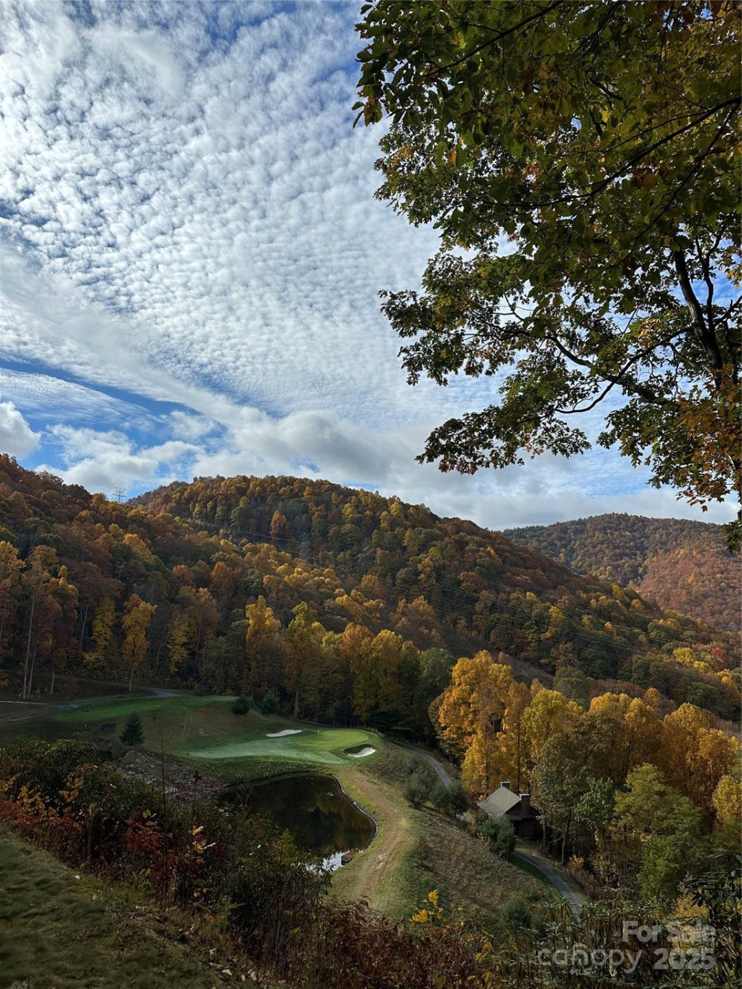 126 Mossycup Court - Photo 28