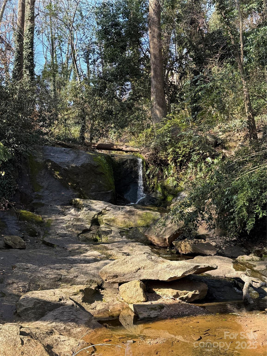 126 Mossycup Court - Photo 30