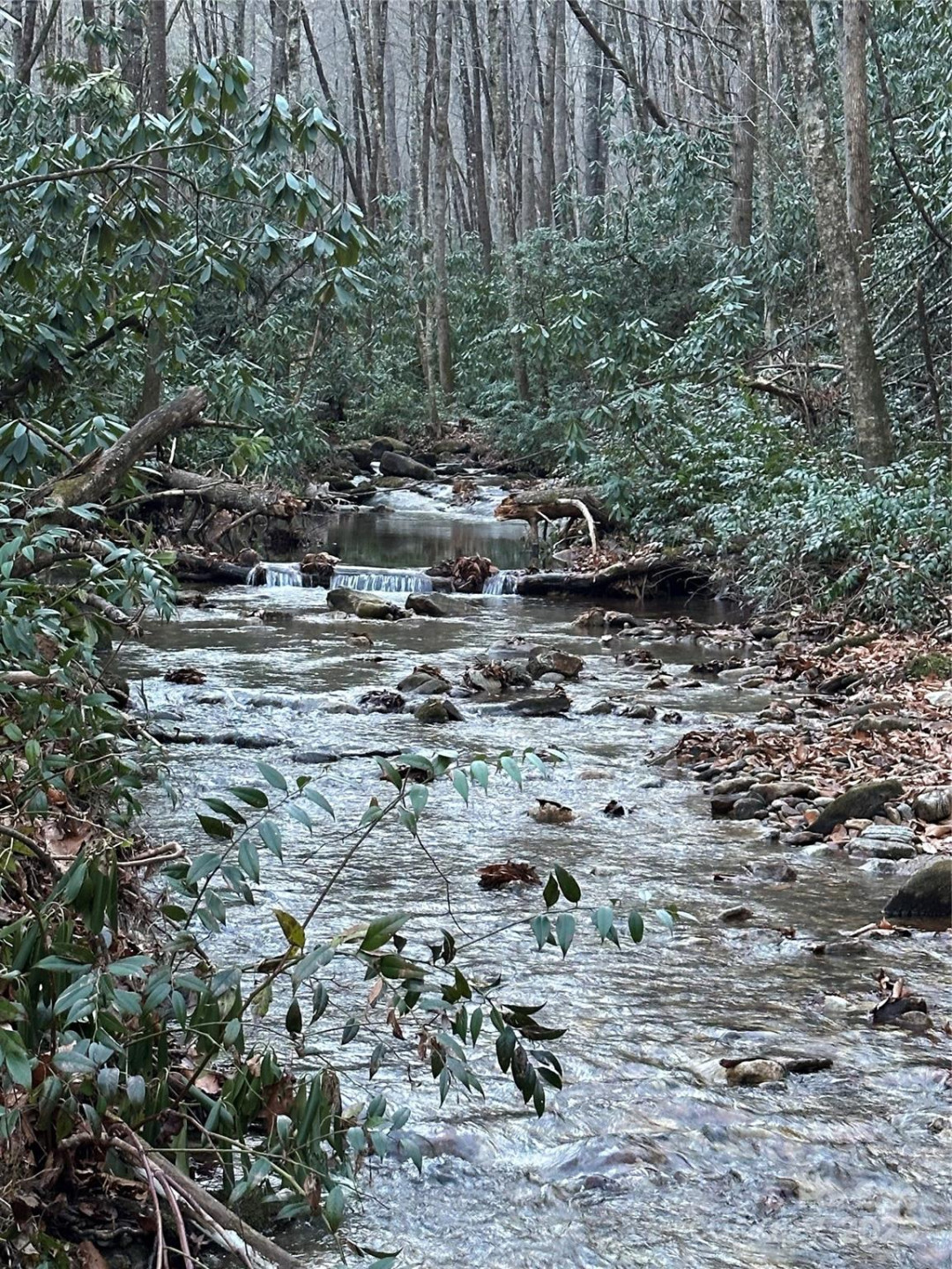 126 Mossycup Court - Photo 31