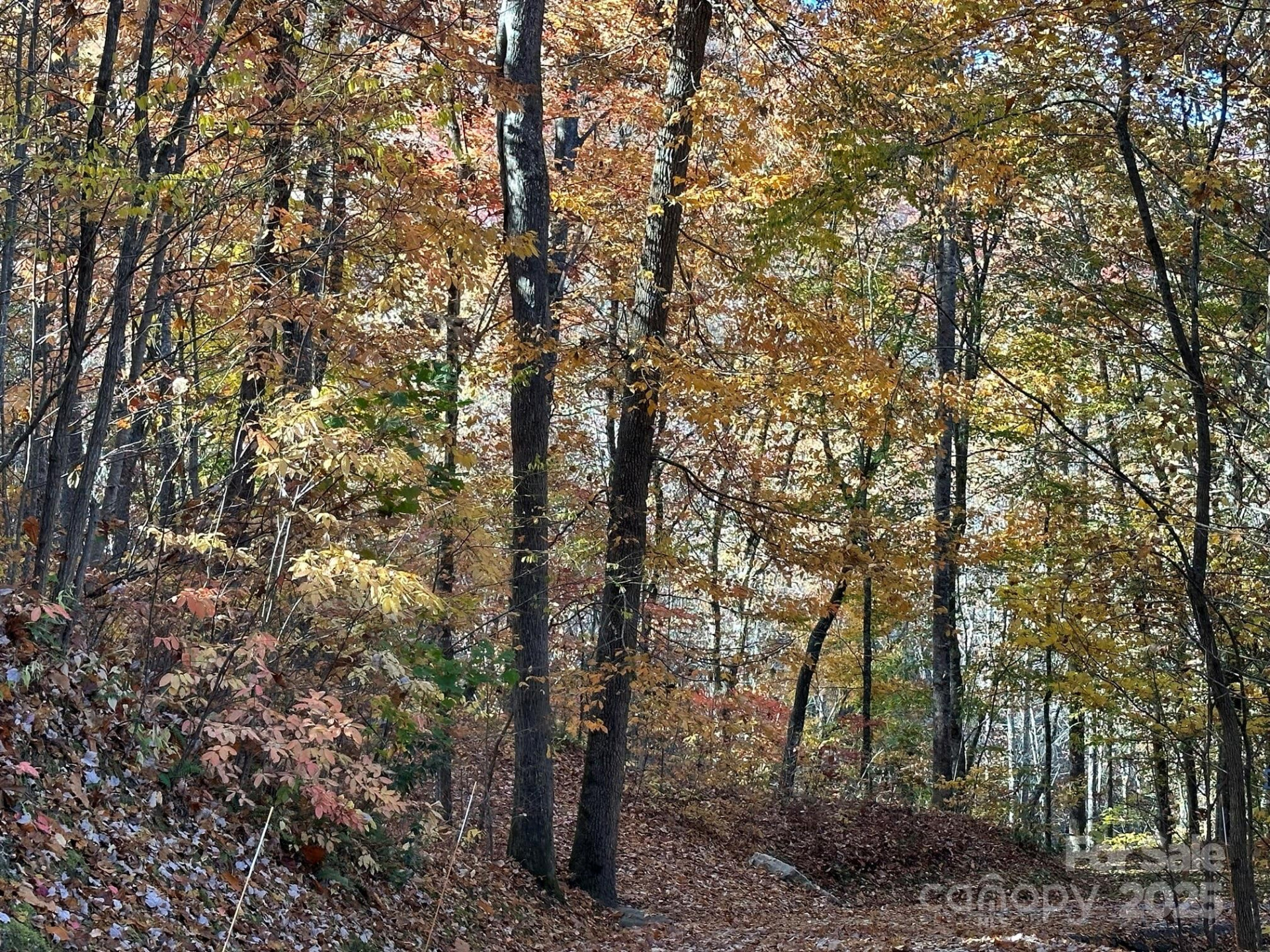 126 Mossycup Court - Photo 32