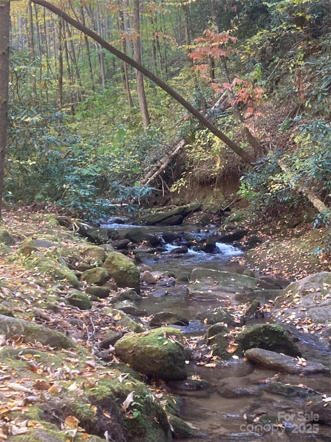 126 Mossycup Court - Photo 34