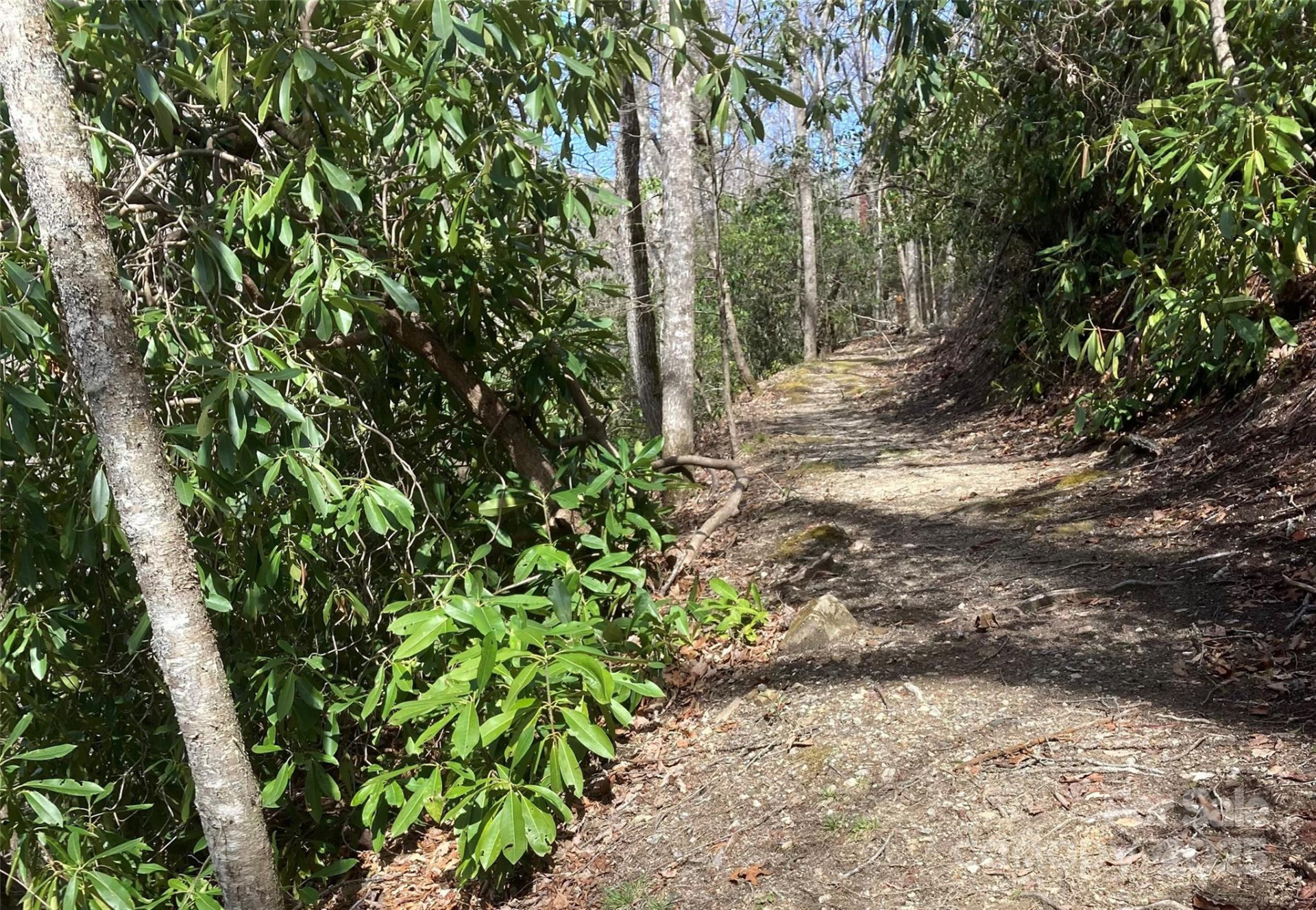 126 Mossycup Court - Photo 41