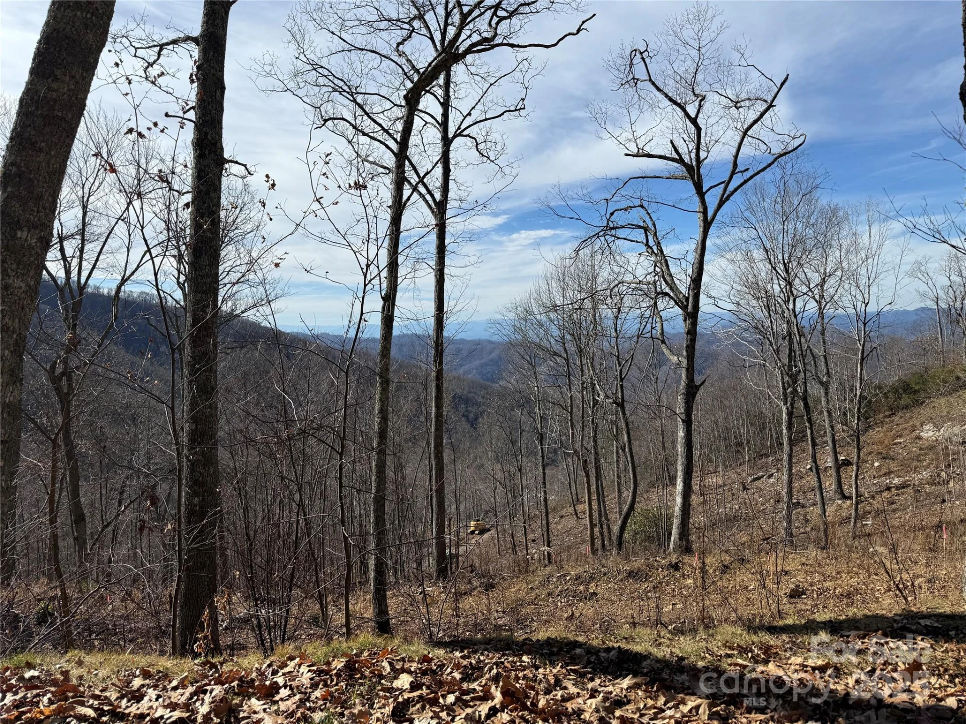 Lot 5 Slickrock Road - Photo 3