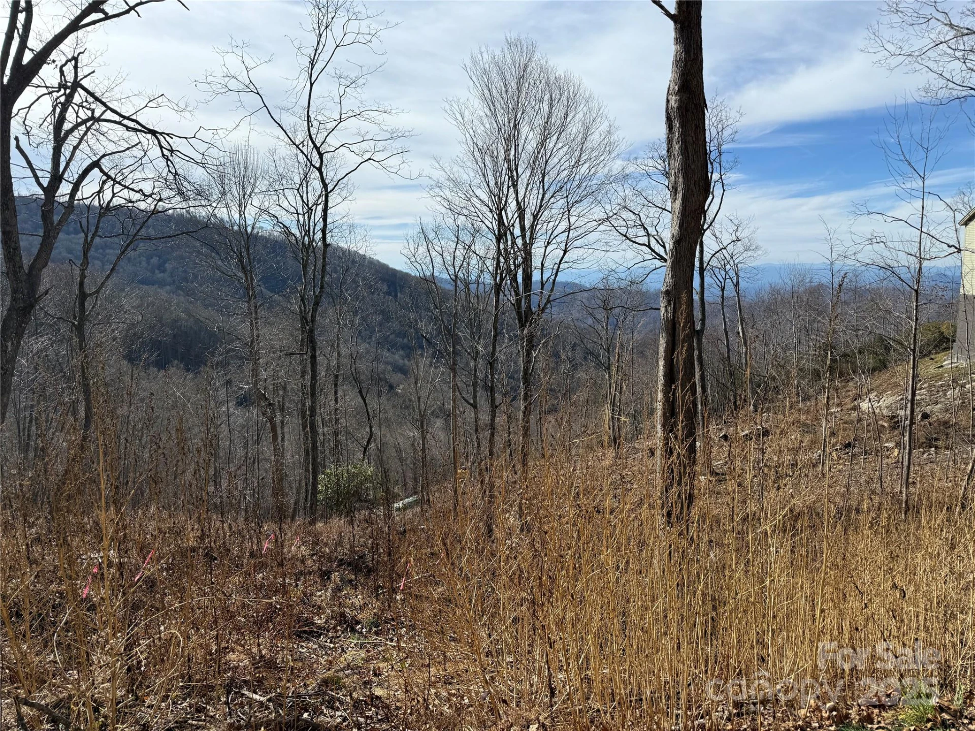 Lot 5 Slickrock Road - Photo 4