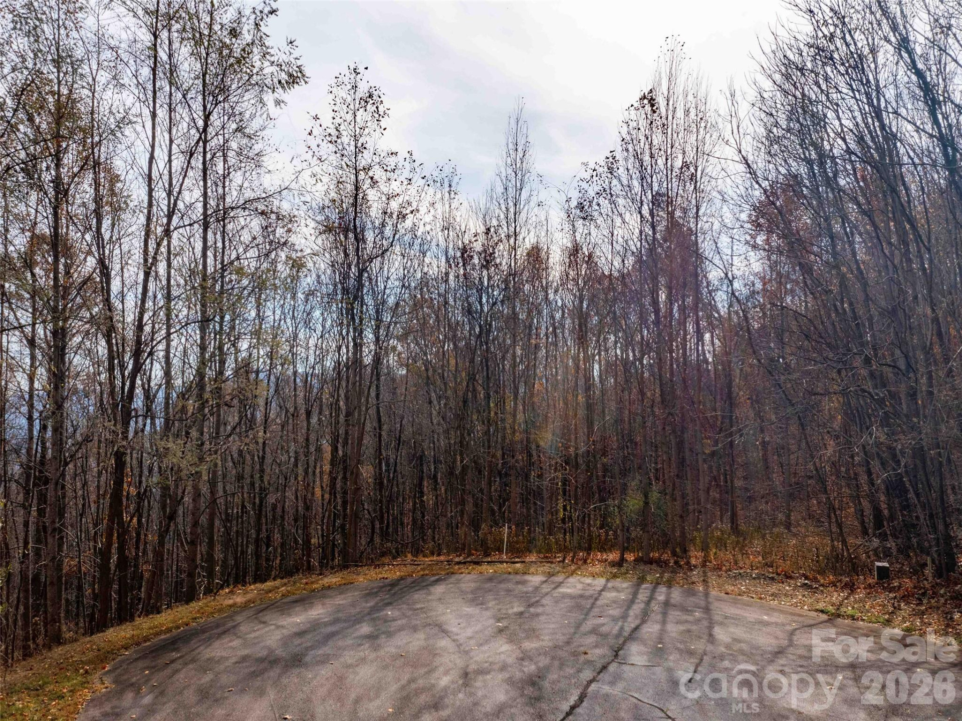 242 Nottingham Drive - Photo 2