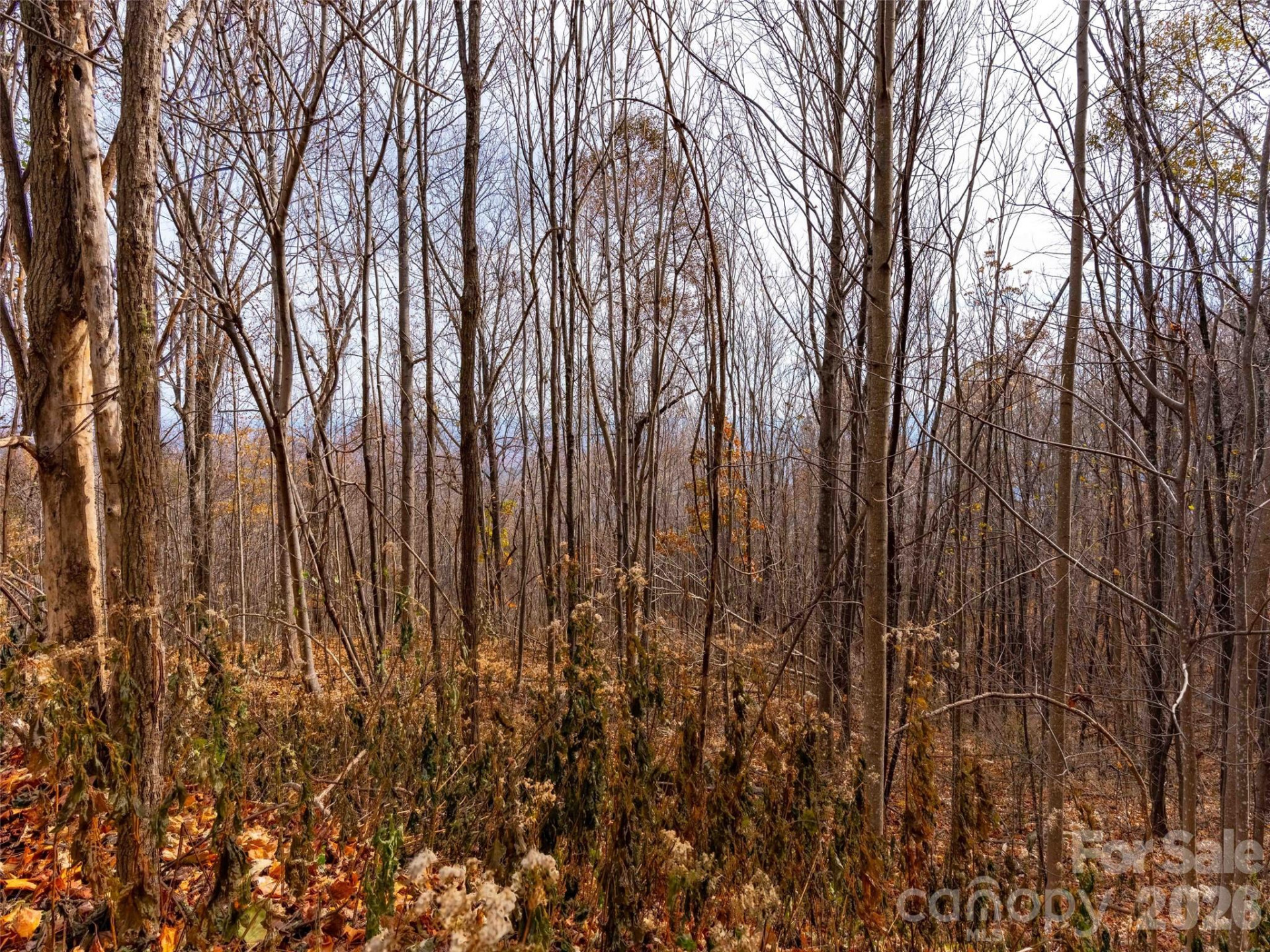 242 Nottingham Drive - Photo 11