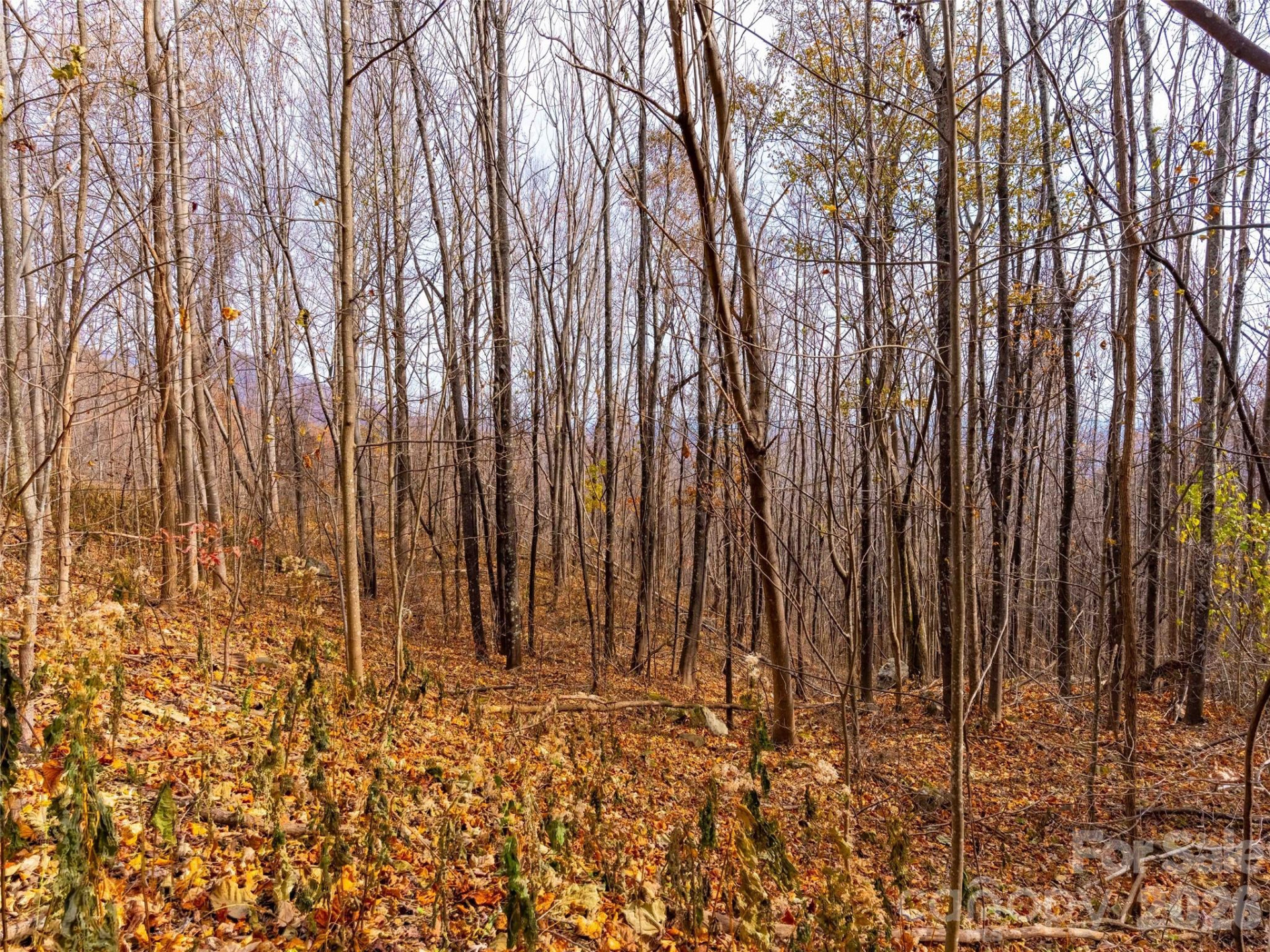 242 Nottingham Drive - Photo 12