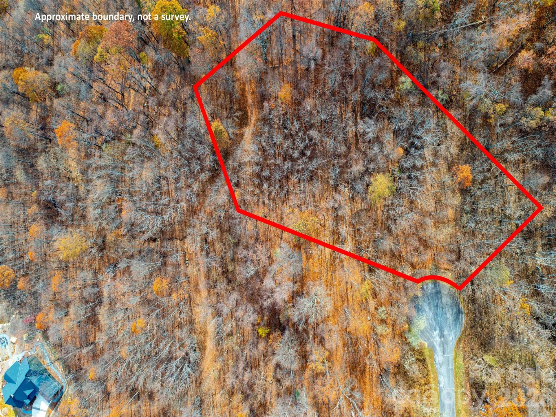 242 Nottingham Drive - Photo 4