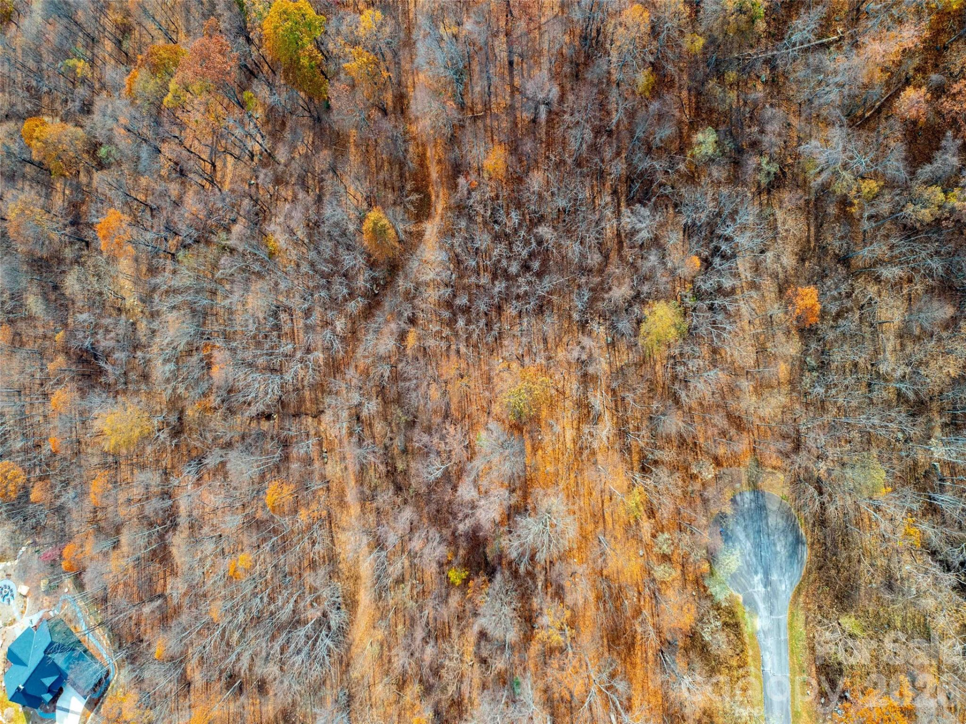 242 Nottingham Drive - Photo 5