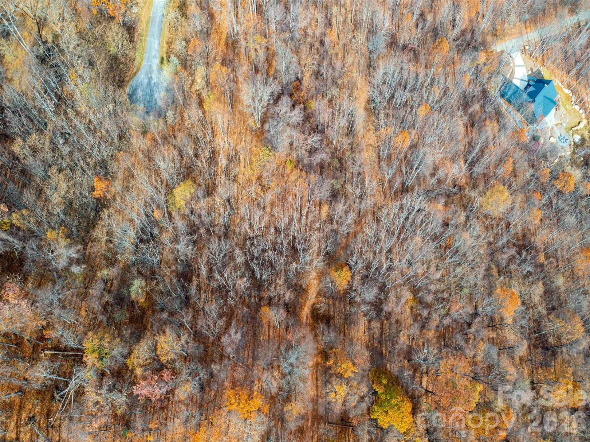 242 Nottingham Drive - Photo 7