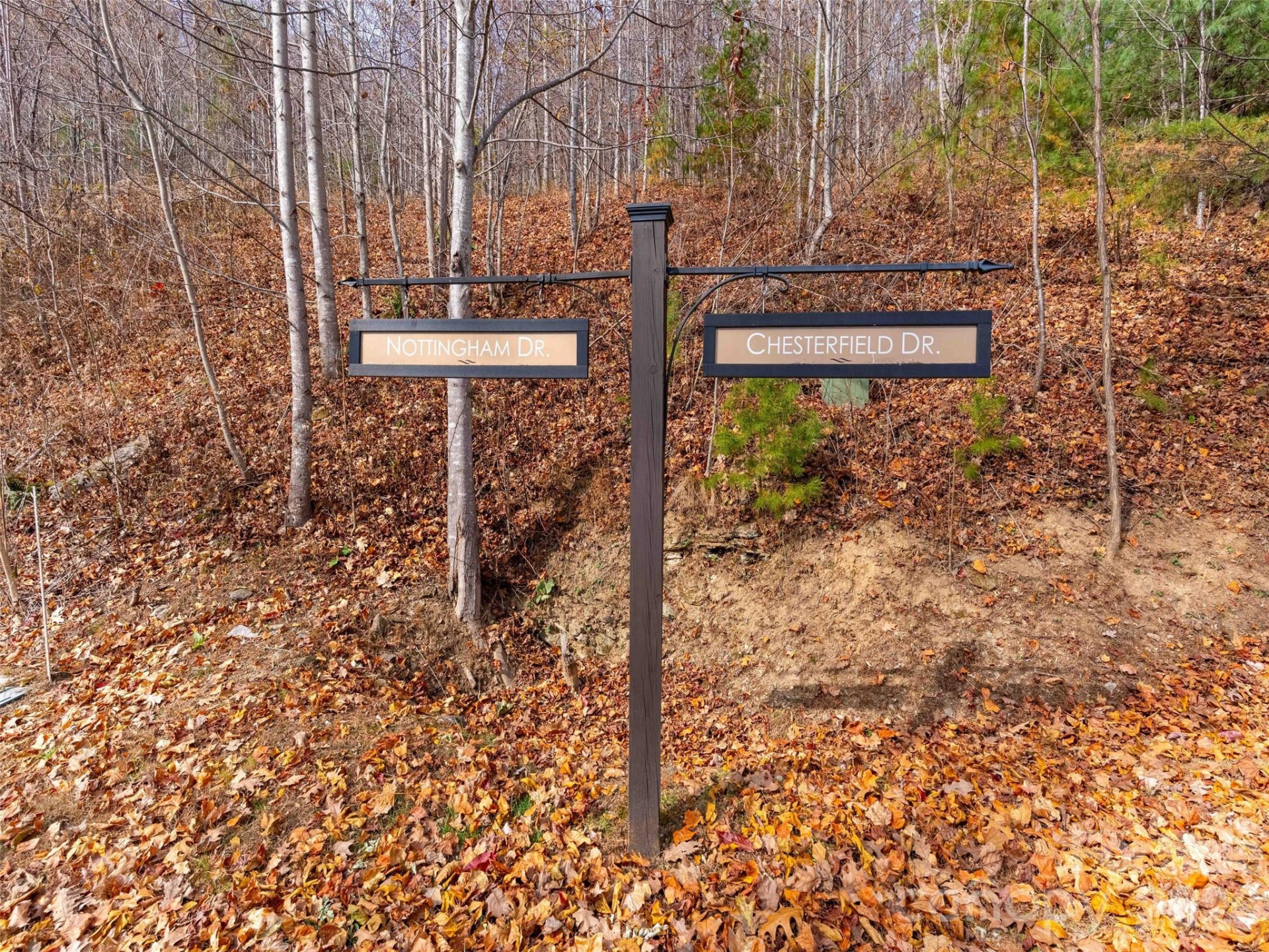 242 Nottingham Drive - Photo 8