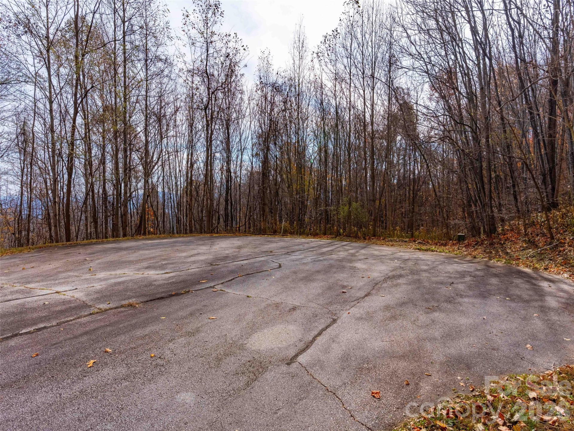 242 Nottingham Drive - Photo 10