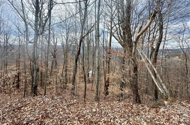 50 Scenic Wolf Ridge Road, Mars Hill, NC, 28754