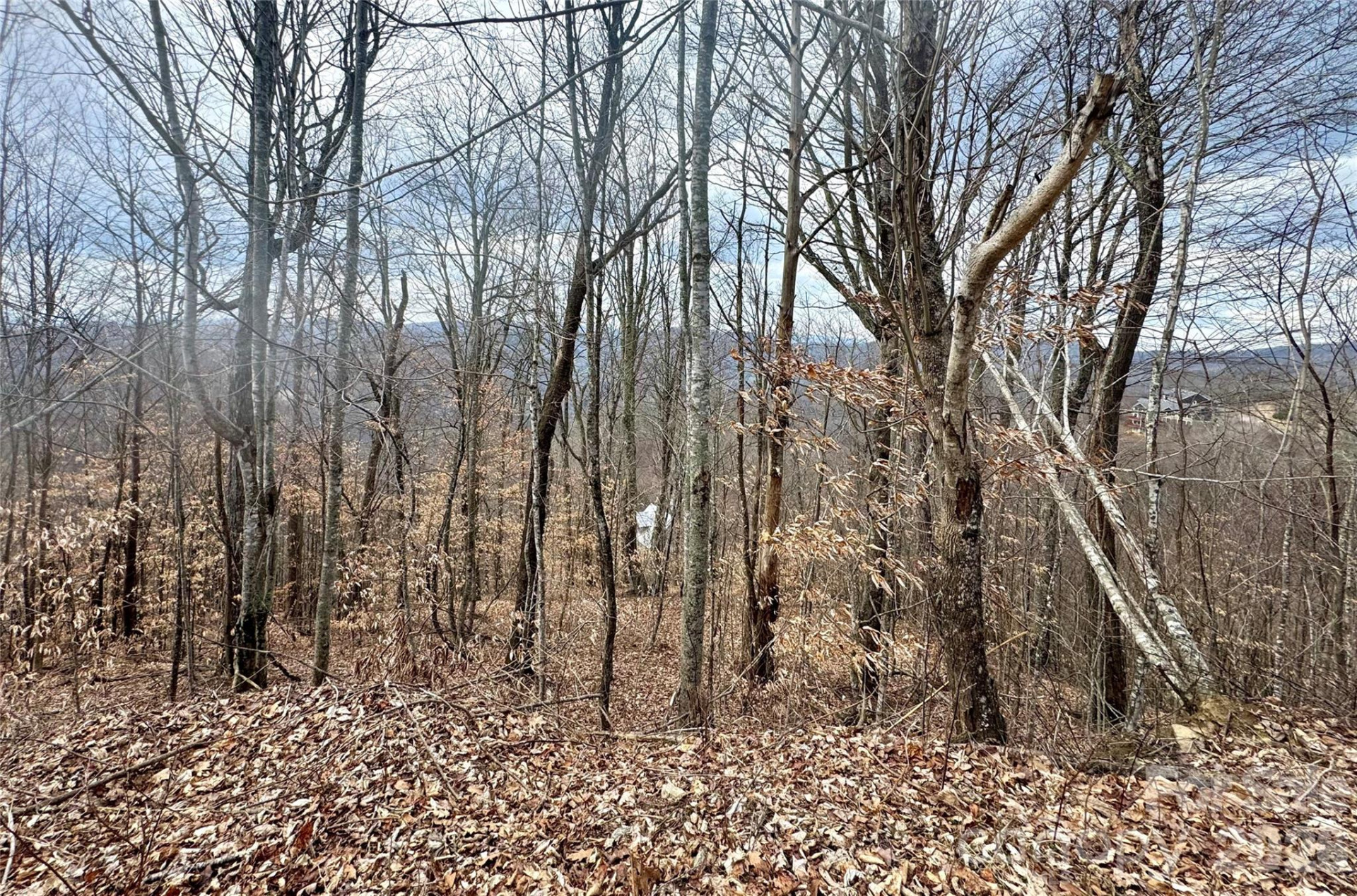 50 Scenic Wolf Ridge Road