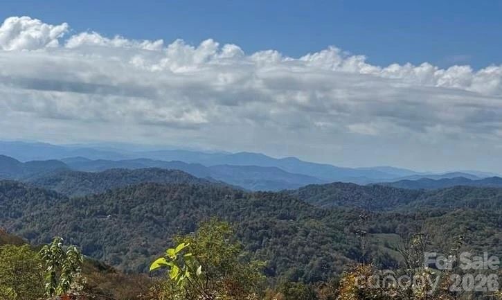 50 Scenic Wolf Ridge Road