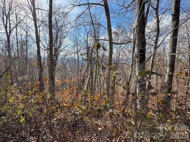 50 Scenic Wolf Ridge Road - Photo 2