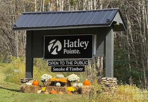 50 Scenic Wolf Ridge Road - Photo 11