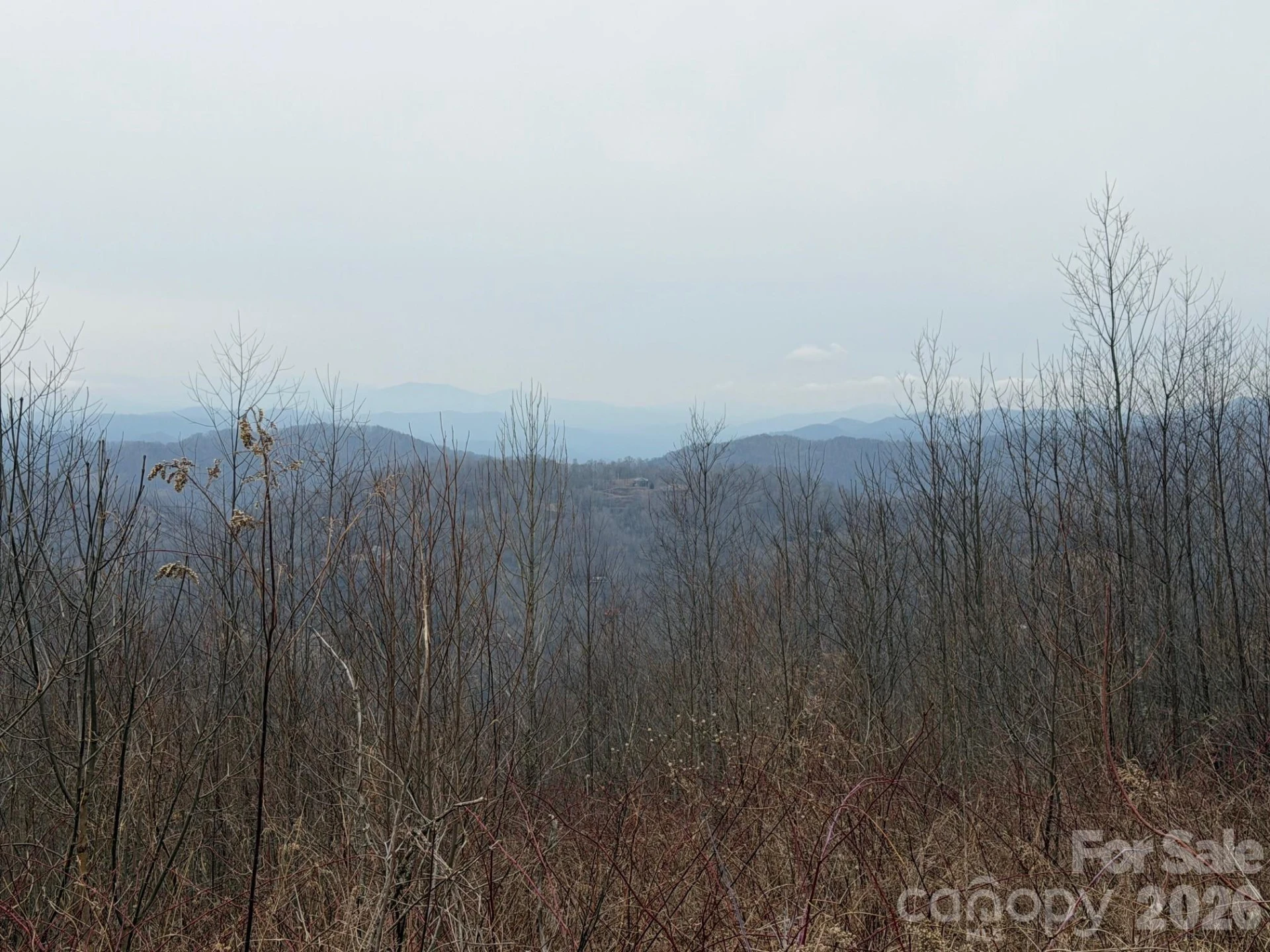 50 Scenic Wolf Ridge Road - Photo 13
