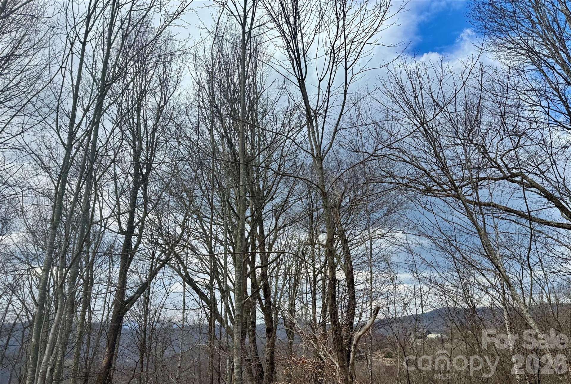 50 Scenic Wolf Ridge Road - Photo 14