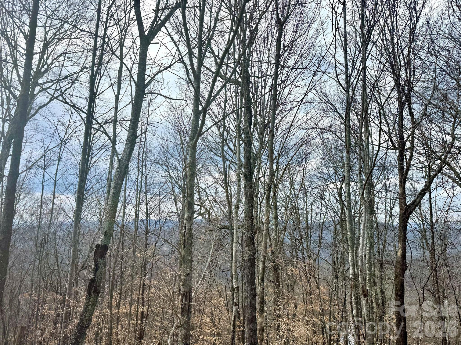 50 Scenic Wolf Ridge Road - Photo 15