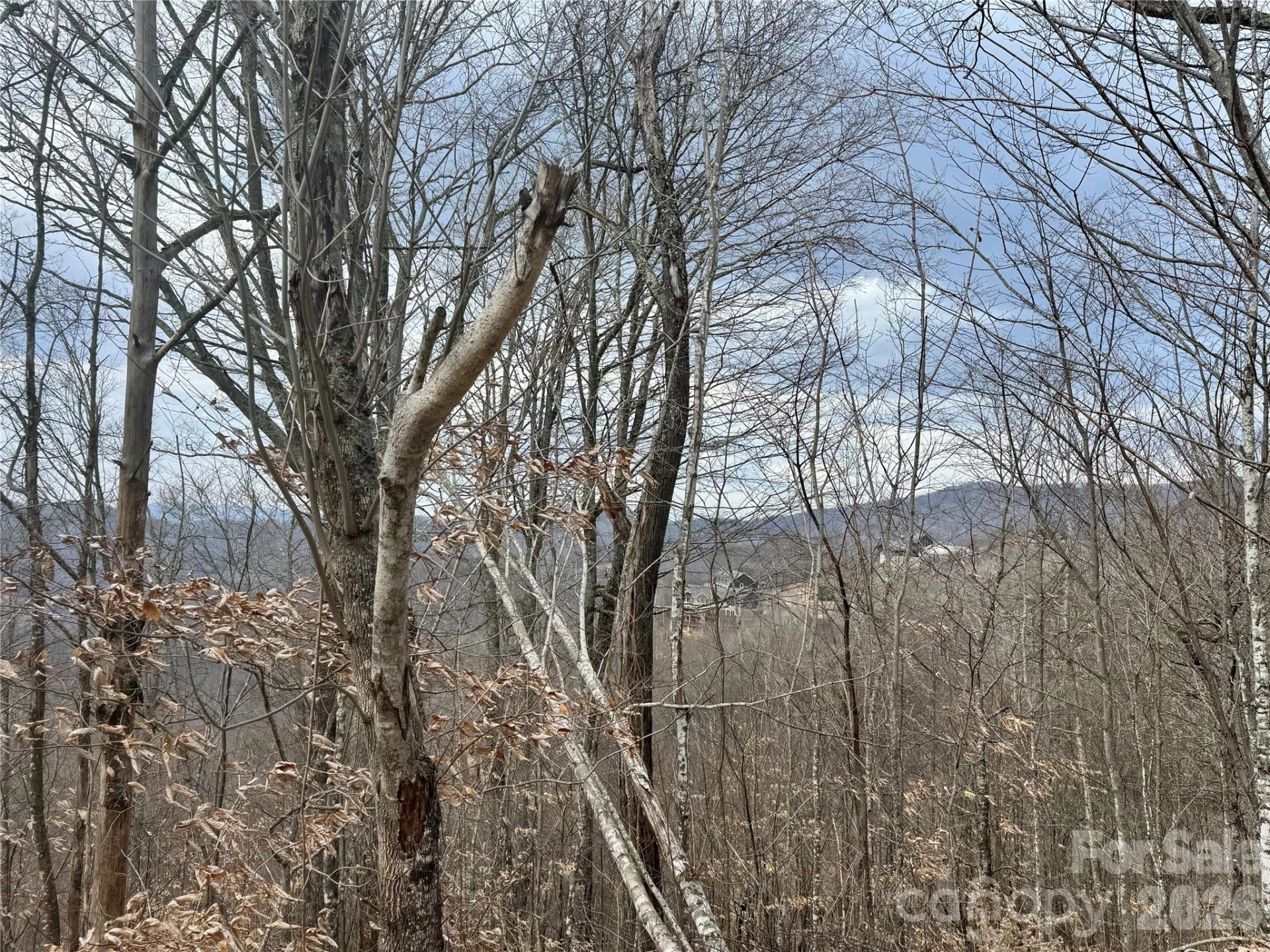 50 Scenic Wolf Ridge Road - Photo 17