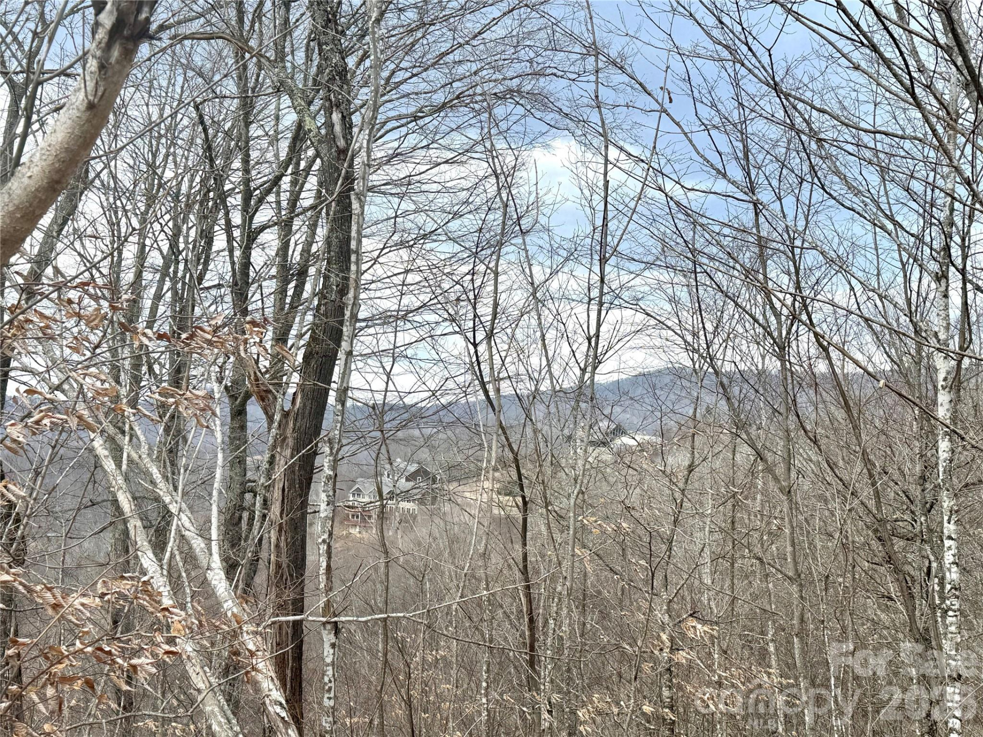 50 Scenic Wolf Ridge Road - Photo 17