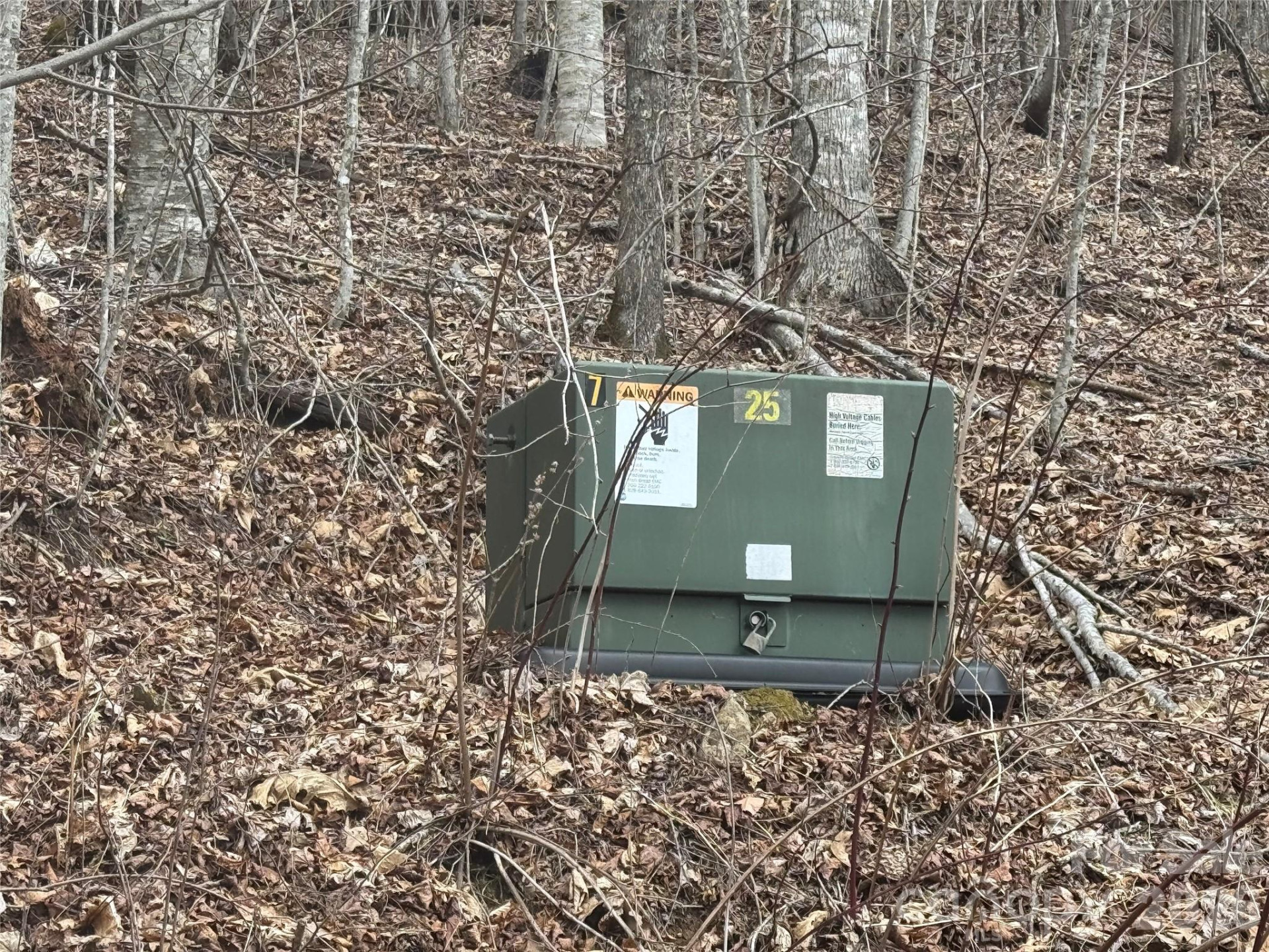 50 Scenic Wolf Ridge Road - Photo 18