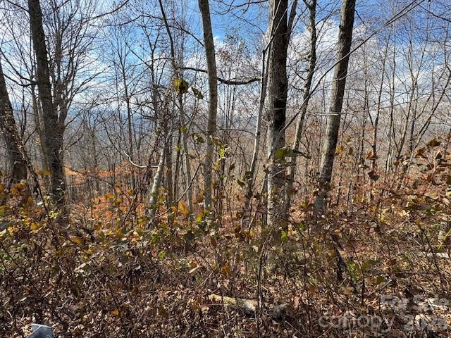 50 Scenic Wolf Ridge Road - Photo 3