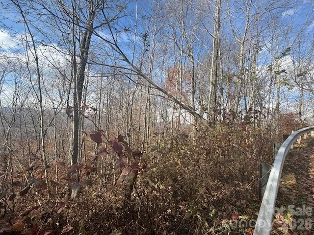 50 Scenic Wolf Ridge Road - Photo 5