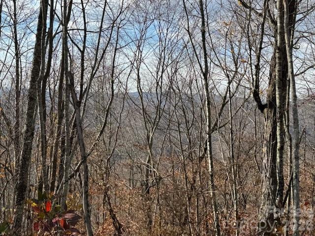 50 Scenic Wolf Ridge Road - Photo 5