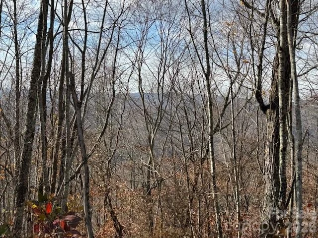 50 Scenic Wolf Ridge Road - Photo 6