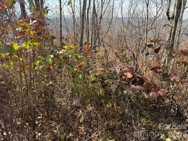 50 Scenic Wolf Ridge Road - Photo 6