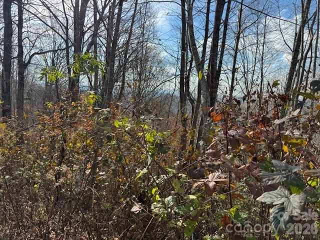 50 Scenic Wolf Ridge Road - Photo 8