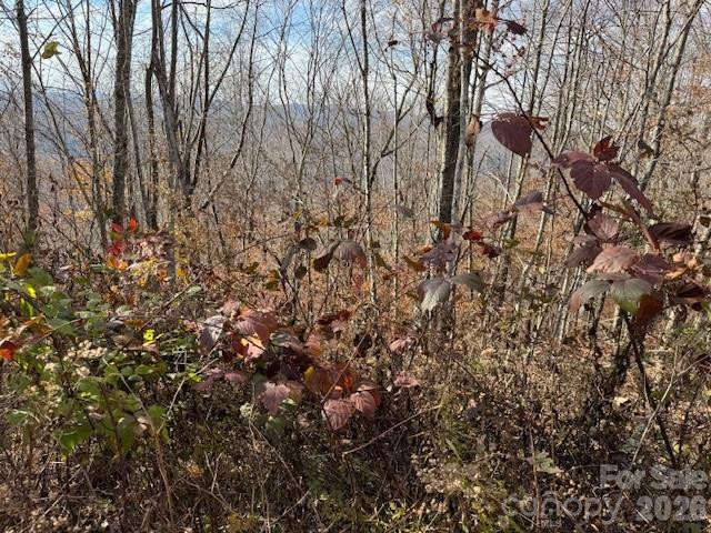 50 Scenic Wolf Ridge Road - Photo 8