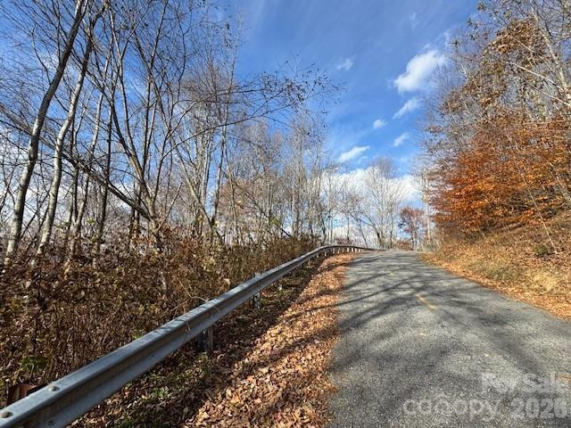 50 Scenic Wolf Ridge Road - Photo 9