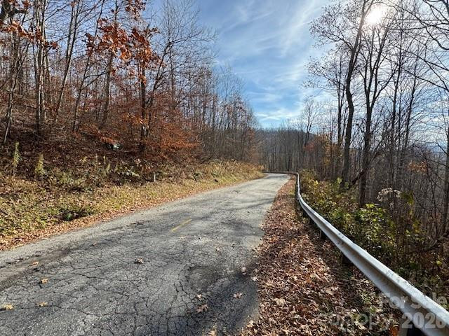 50 Scenic Wolf Ridge Road - Photo 10